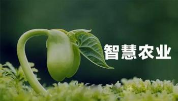 農(nóng)業(yè)在未來會(huì)有怎樣的發(fā)展趨勢(shì)？